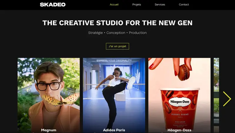 Ancien site Skadeo sur Wix